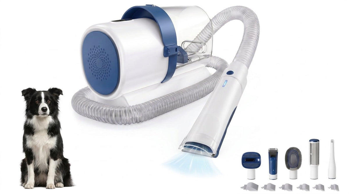 The Shed Vacuum 5-in-1 dog grooming kit in White Blue with its tools, next to a Border Collie